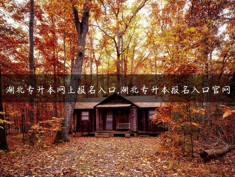 湖北专升本网上报名入口,湖北专升本报名入口ag九游会登录j9入口官网-广东技校排名网